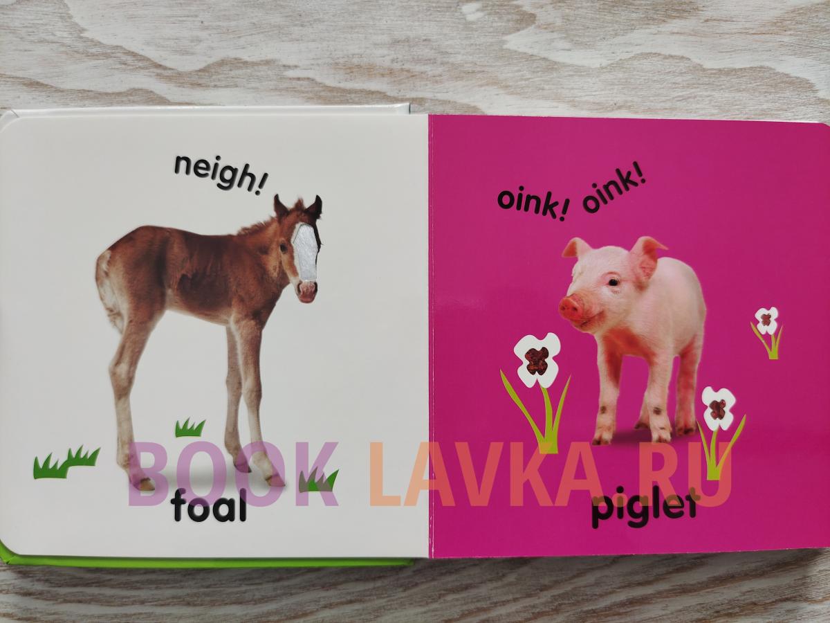 Baby feel перевод